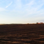 Flächenbrand zwischen Storkow und Radekow 01.08.2014